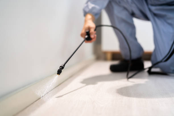 Licensed Fumigation Services service in Homestead Meadows North, TX - Nex Pest Control