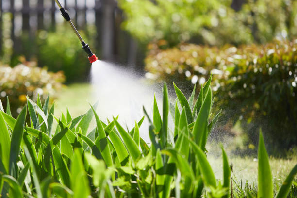 24/7 Emergency Fumigation Services experts in Homestead Meadows North, TX