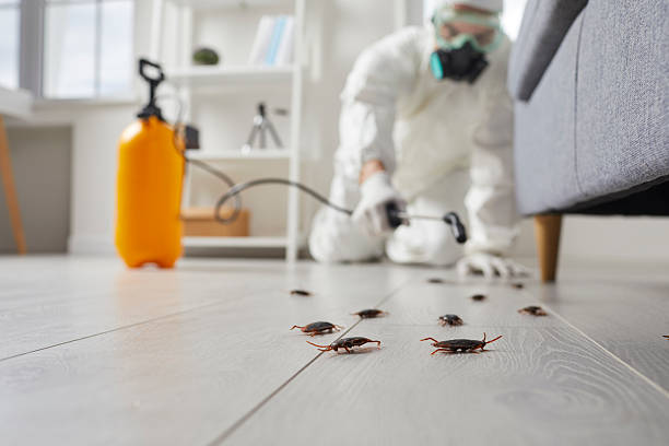 Trusted Fumigation Services service in Homestead Meadows North, TX - Nex Pest Control