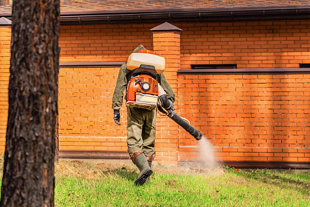 Trusted Bed Bug Control service in Homestead Meadows North, TX - Nex Pest Control